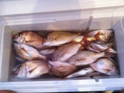 fishing boat hire melbourne